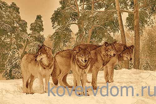 Ковер DA VINCI z907 BROWN Ковер DA VINCI z907 BROWN