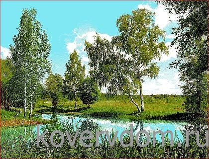 Ковер Родные просторы  51065